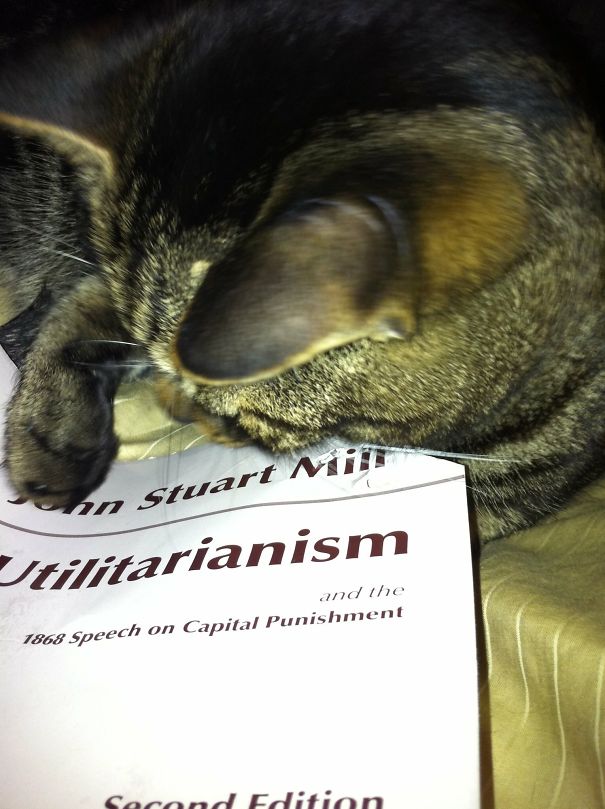 Hagrid Punishing Mills