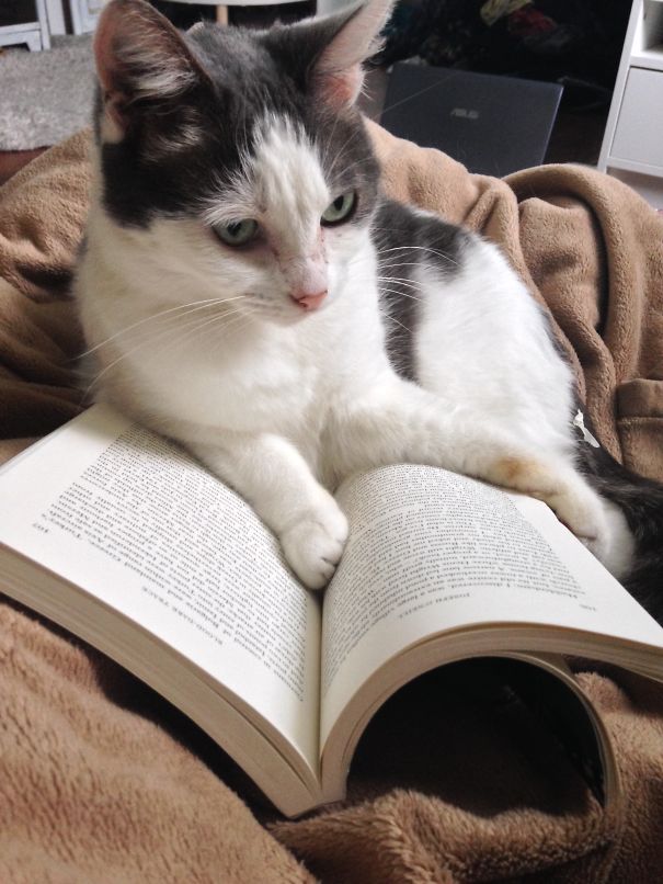 Though Shall Not Read