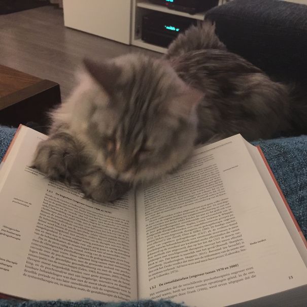 Oh This Is Interesting! Lets Study Together!