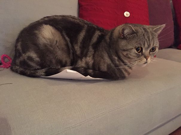 You Really Don't Need That Article, Trust Me!