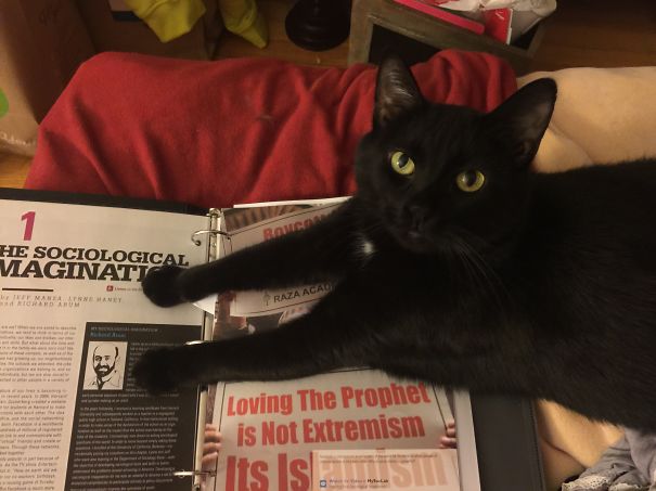 You Don't Need To Read This... Let Me 'splain It To You.