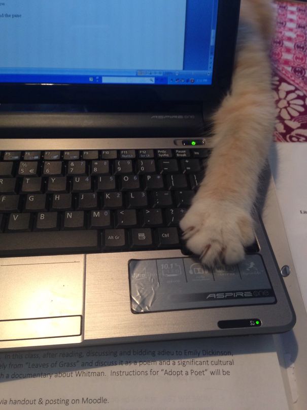 Online Exam Saboteur