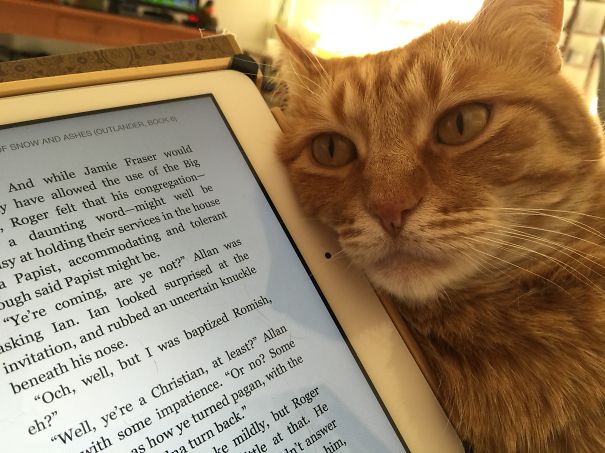 I'll Turn The Page, Mom