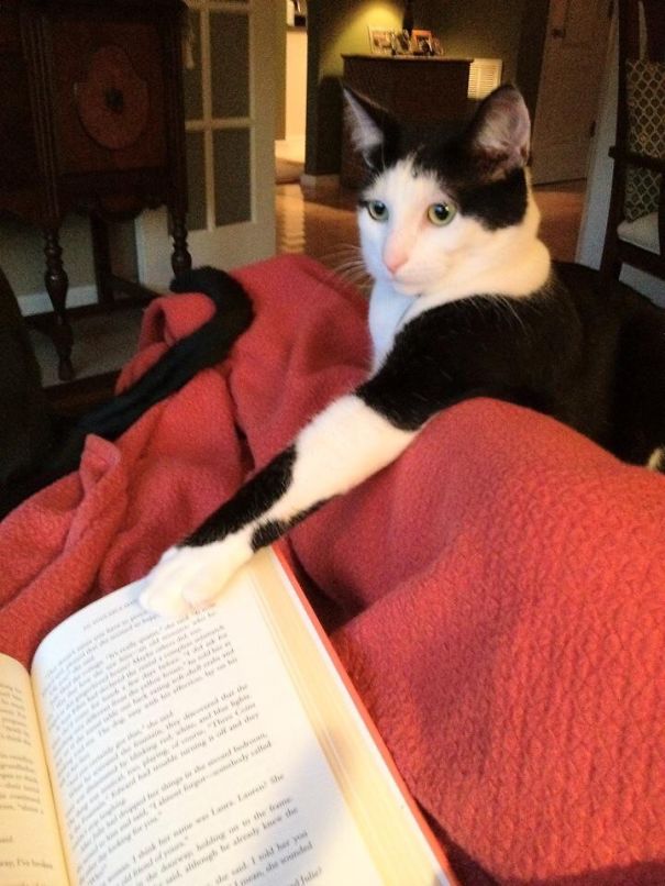 No More Turn-y Page-y.