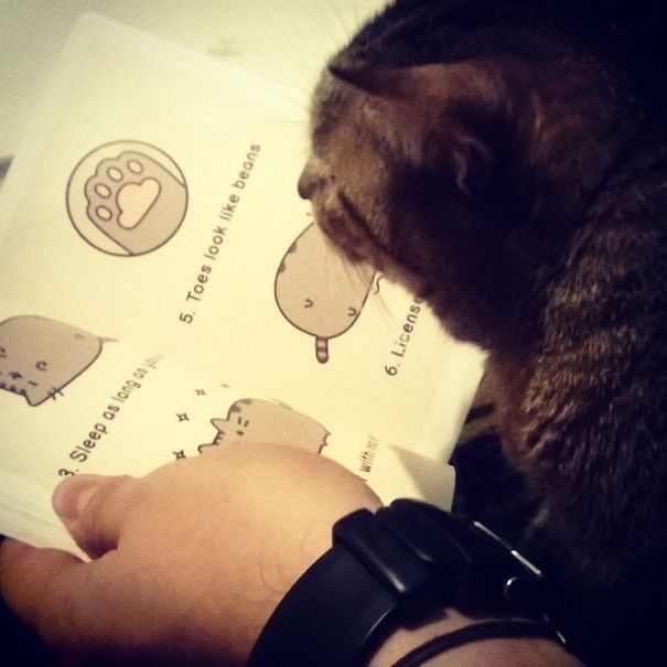 Reading A Bedtime Story