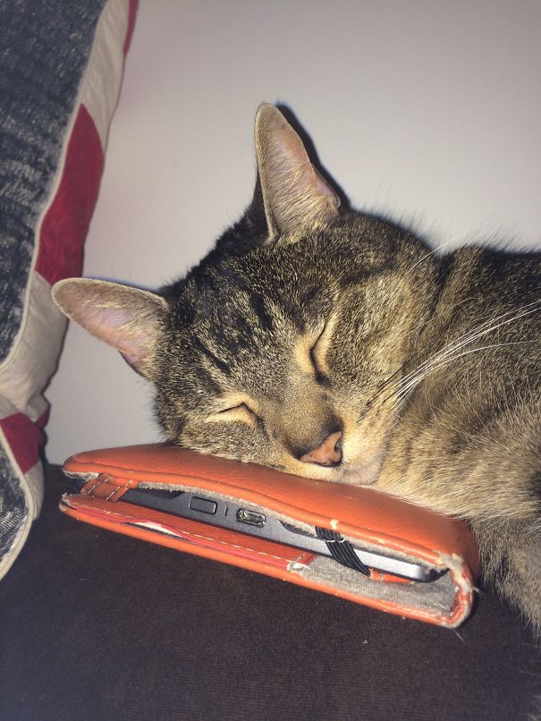 Forget Reading On Your Kindle, Mom!