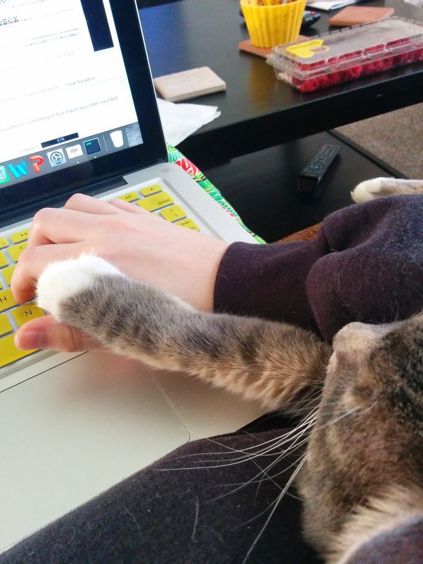 Buddy Is Making Sure I Pick The Right Answers.