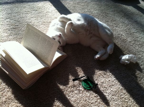 You Weren't On A Certain Page Or Anything, Were You? Eh..rub My Tummy.