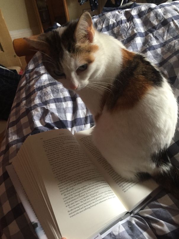 Yes,did You Want Something?