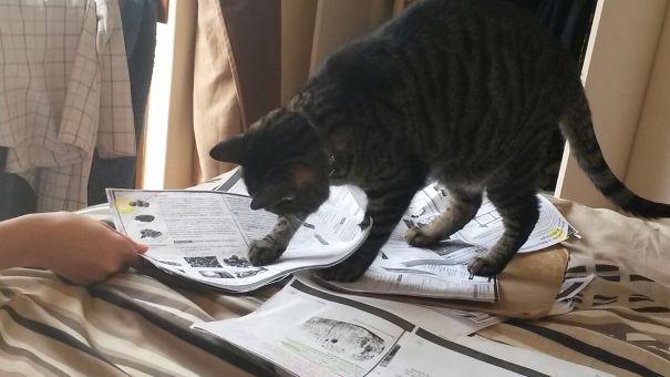 Scientific Investigation.