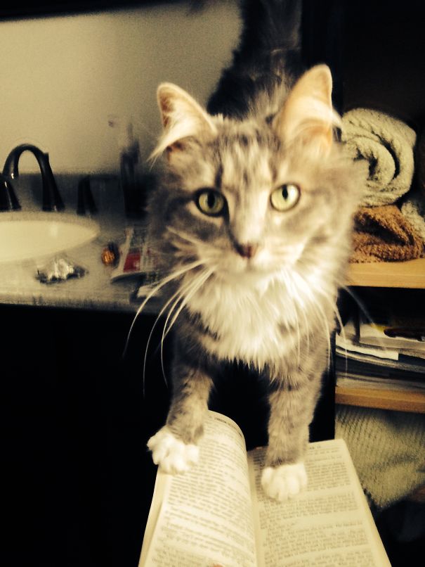 A Little Privacy Please !!