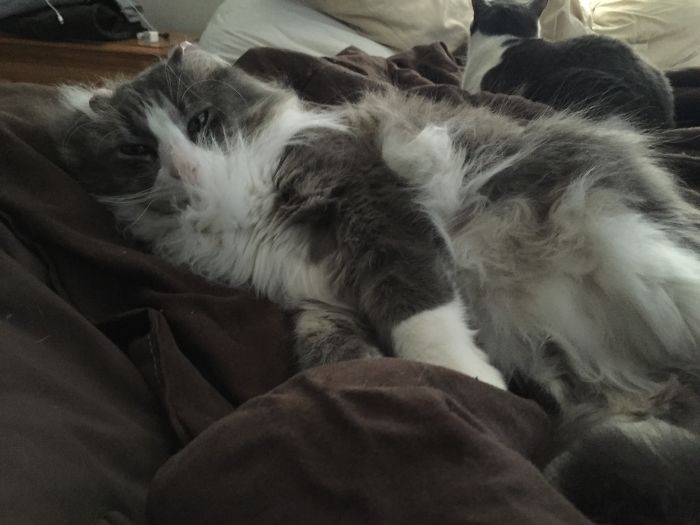 Campbell Was Purposely Set On Fire Back On November 10, 2013 In Philadelphia.