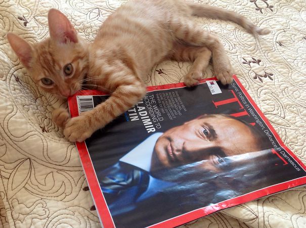 Young Secret Agent Destroying Strictly Confidential Document