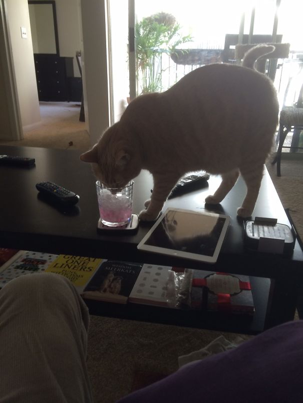 Sam And His Cocktail