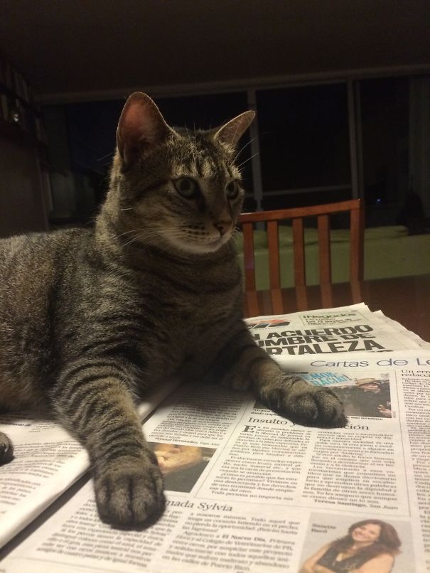 Letters From The Readers?!? No! You're Done With Today's Paper!