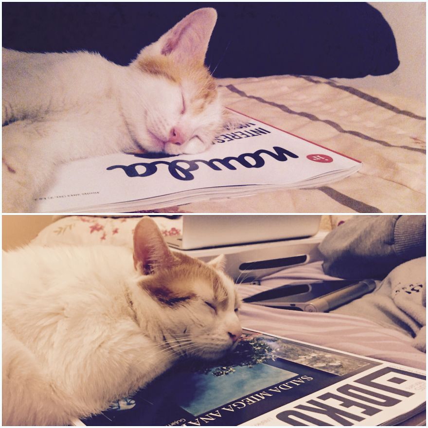 Some Things Never Change >^.^