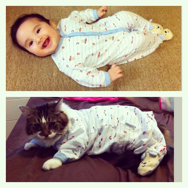 We Share Clothes - Talon & Beatrice