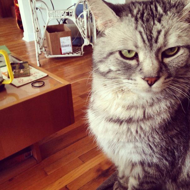 Give Me Your Pizza Or I'll Cut You