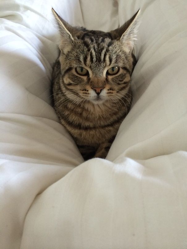 Woke Up To This One Staring Me Down