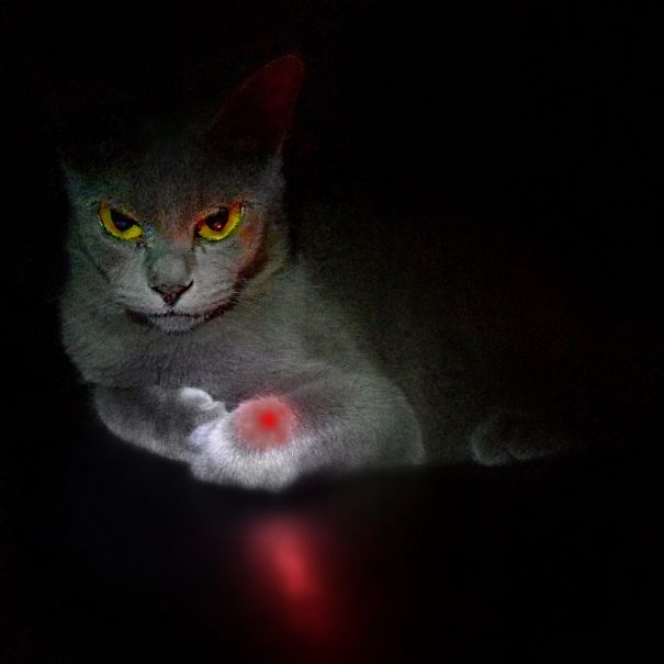 Revenge For The Red Dot