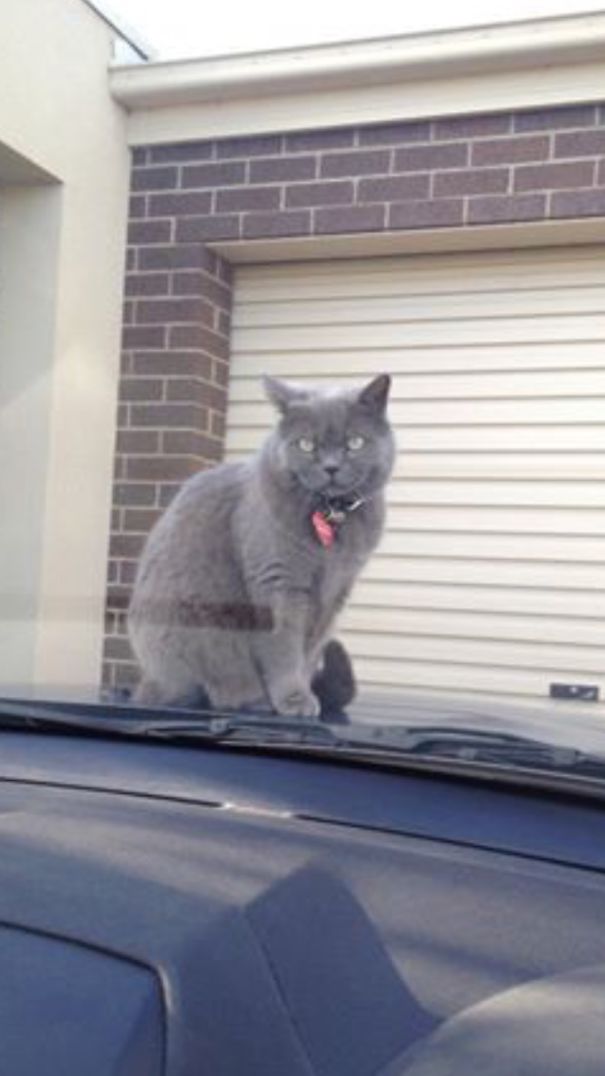 Don't Get Out The Car....