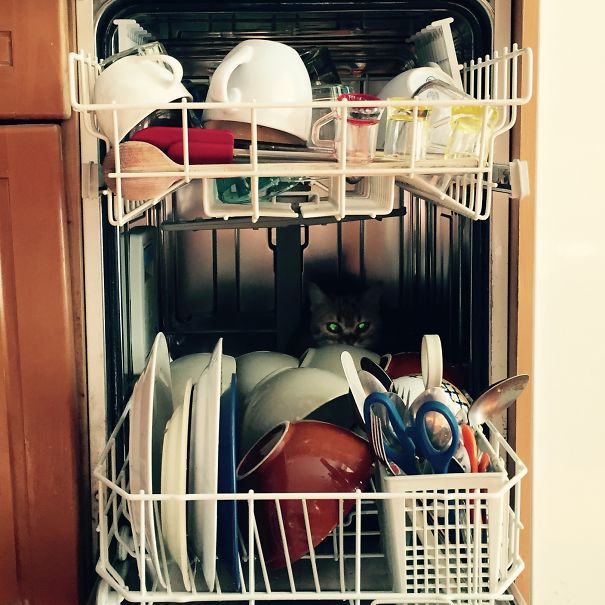 Silence, I Kill You!