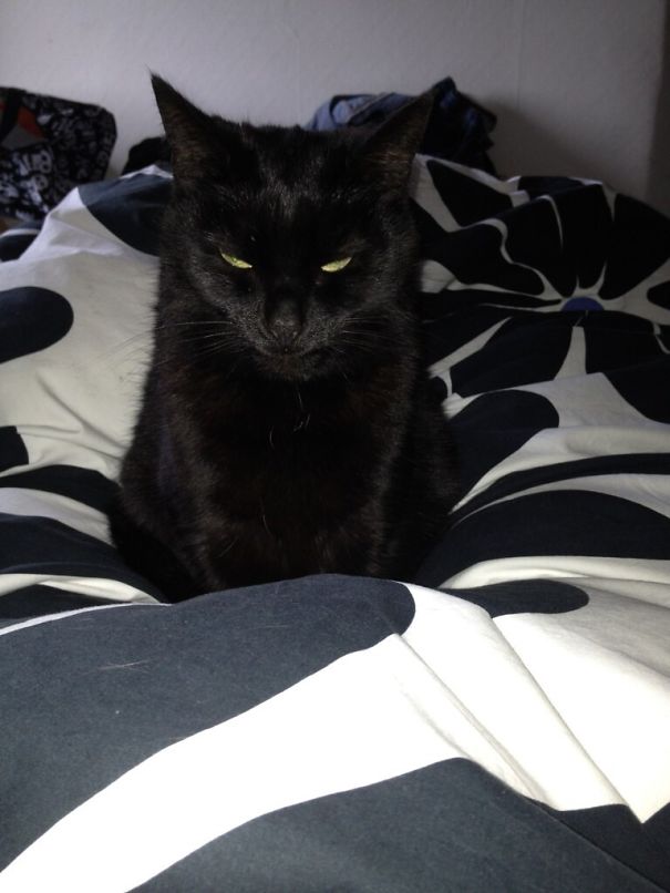 Wake Up! Time To Die...