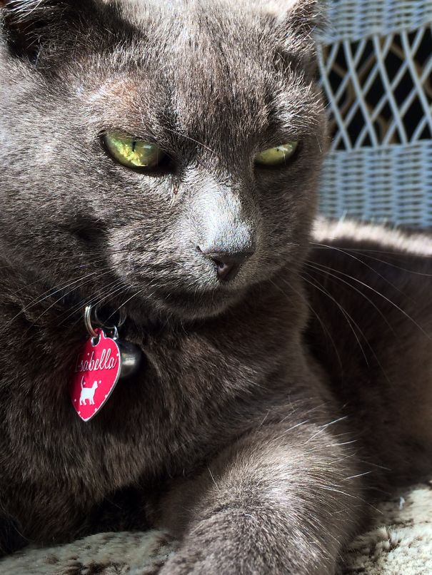 Touch Me And You Die.