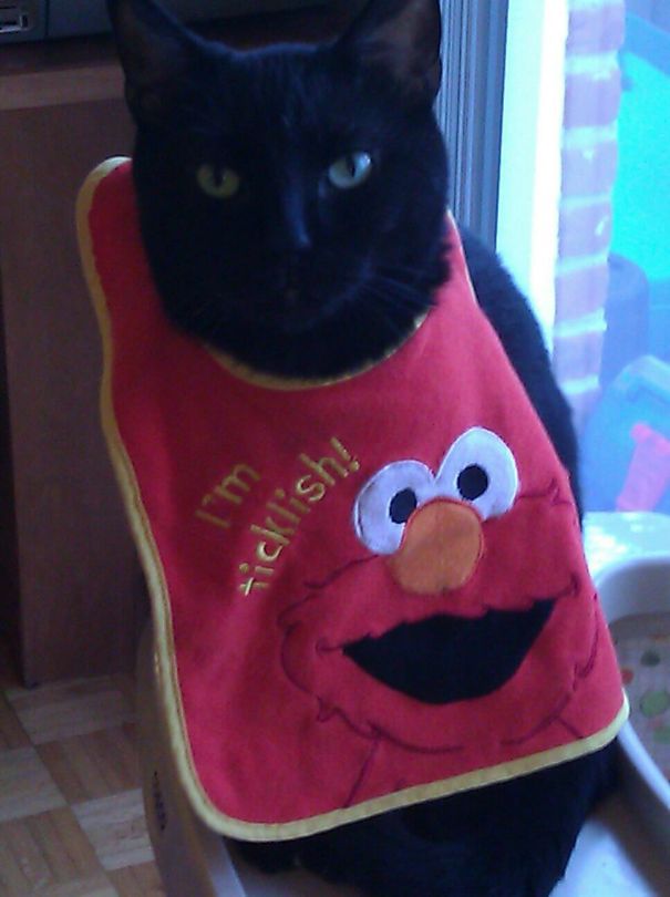 Tickle Me And Find Out What Happens Next.