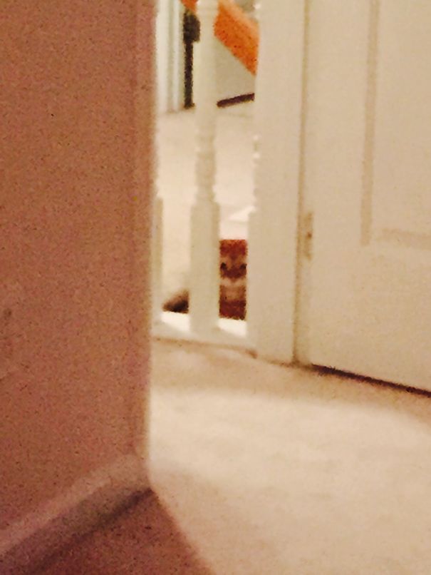 I Always Feel Like Someone's Watching Me 