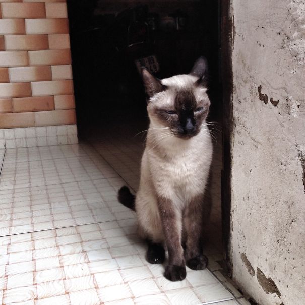 'i Will Just Wait Here To Greet, I Mean To Kill, You'