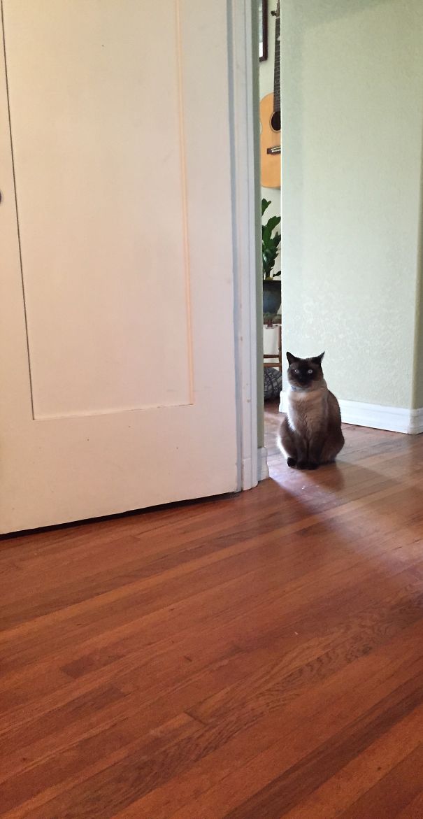 Lurking In The Hallway