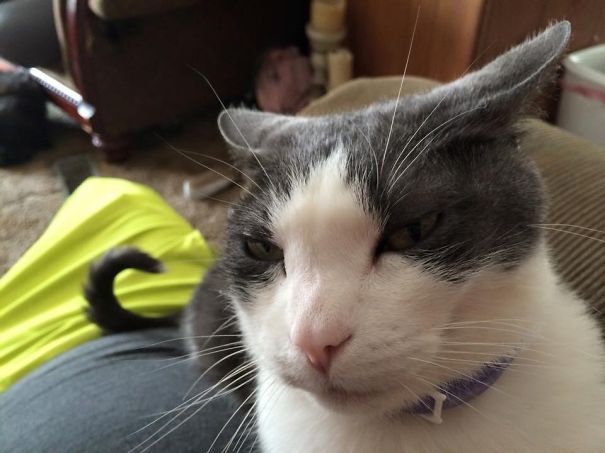 Who You Trying To Get Crazy With??? Don't You Know I'm Loco