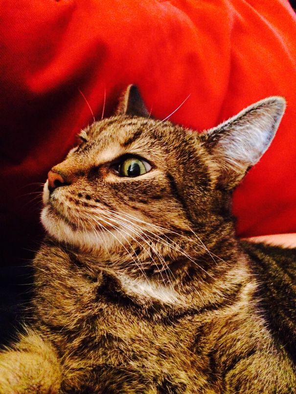 You Will Never Guess My Plan