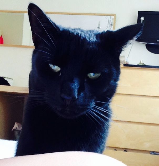 Soon, I Will Kill You. Very Soon! Evil Look