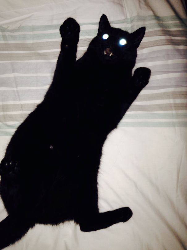 You Knew My Plans?! Attack Time!