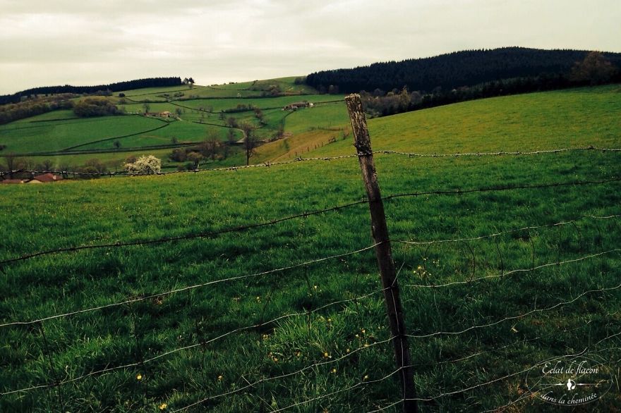 Young Mom Takes Pictures Of The Ordinary Ambience In Their Old French Village