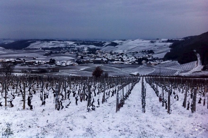 Young Mom Takes Pictures Of The Ordinary Ambience In Their Old French Village