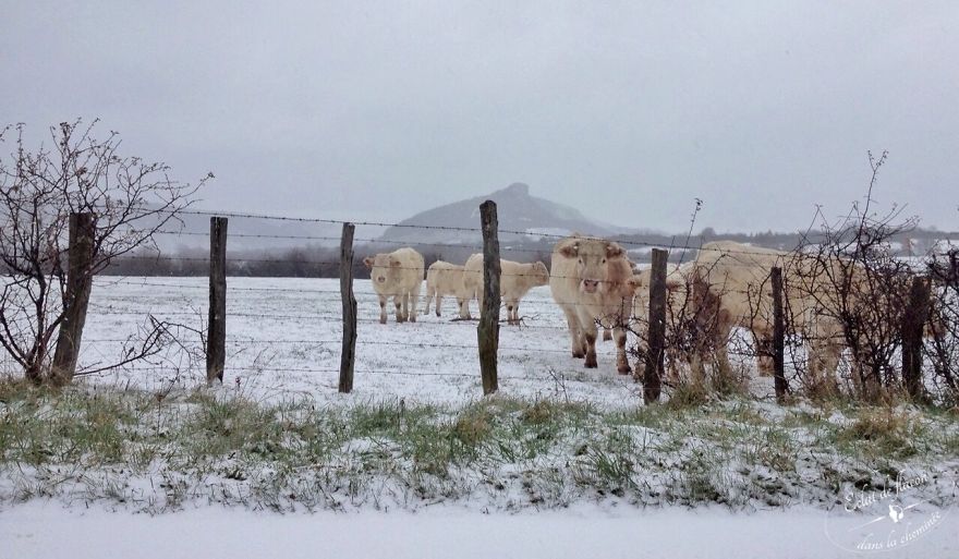 Young Mom Takes Pictures Of The Ordinary Ambience In Their Old French Village Young Mom Takes Pictures Of The Ordinary Ambience In Their Old French Village