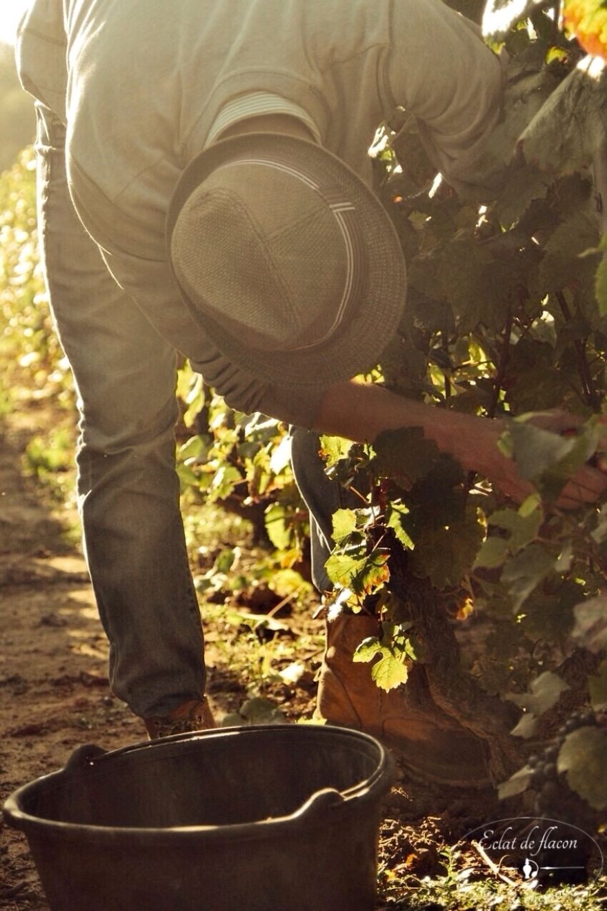 Young Mom Takes Pictures Of The Ordinary Ambience In Their Old French Village Young Mom Takes Pictures Of The Ordinary Ambience In Their Old French Village
