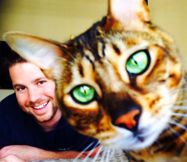 Cat Selfie...photo Bomb. Now You Asked For It!