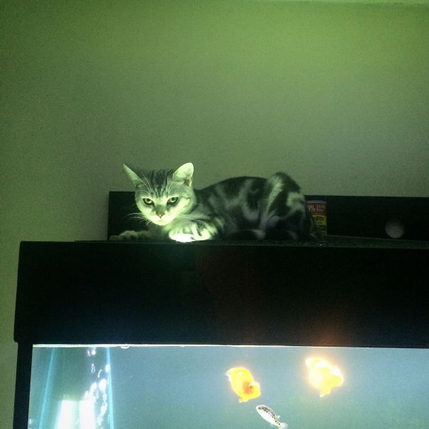 I Am Watching You...