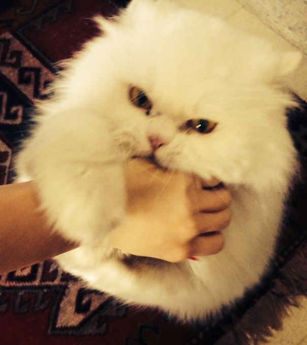 Not Very Thrilled To Have Me..