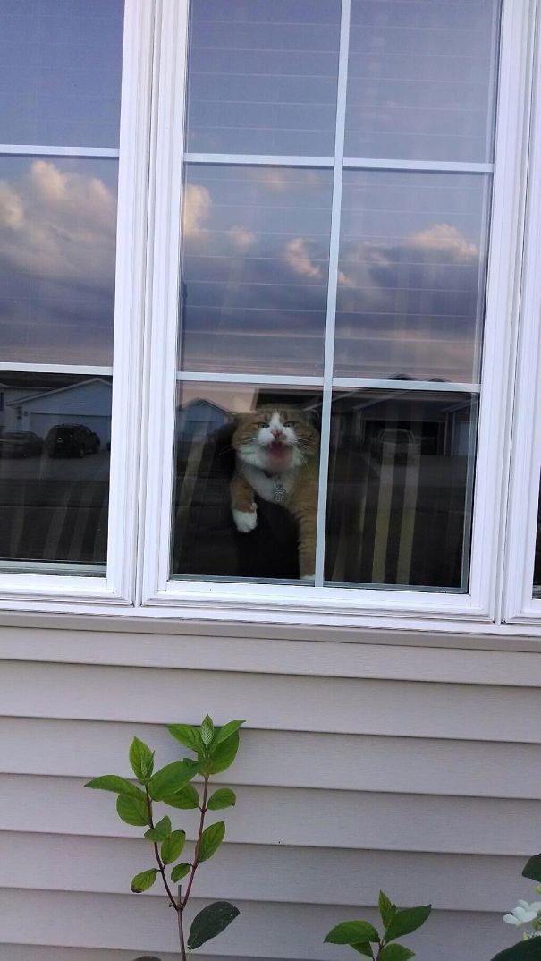 Do Not Look In My Window