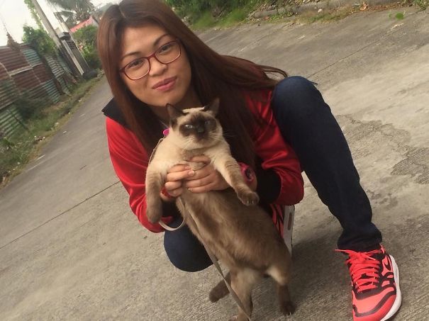 You'll Pay For Meowlfie With Me