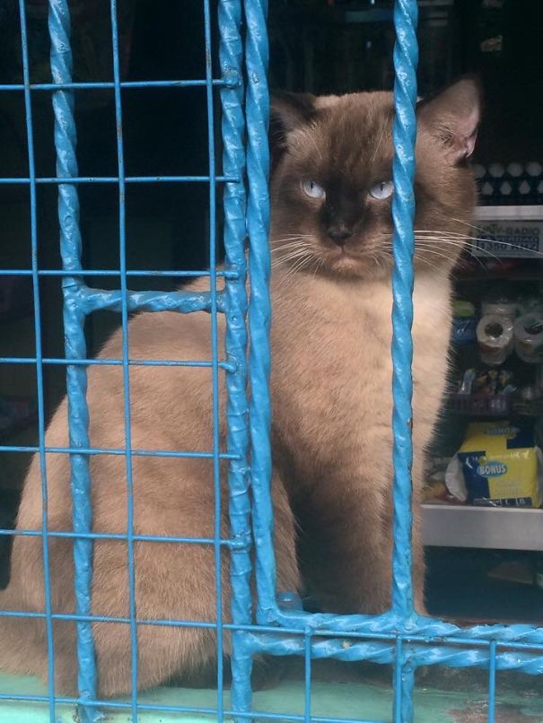 Once I Get Out Of Here.. You'll Die!