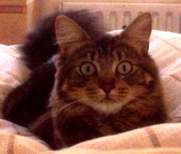 Look Into My Eyes...you're Getting Sleepy...are You Sure You Want To Do That?