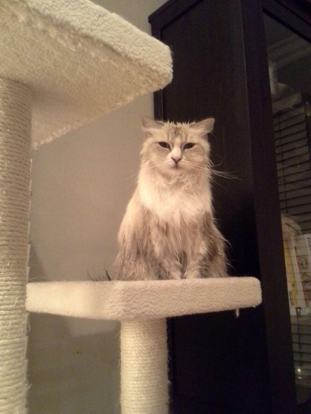 Bath Time Made Me Evil!