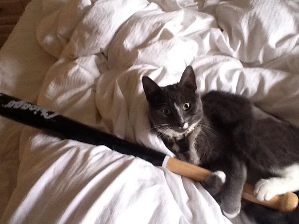 Don't Come Any Closer !!!!