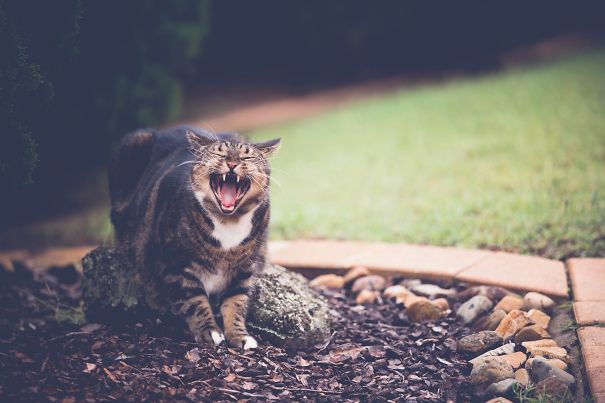 This Isn't Even His Final Form